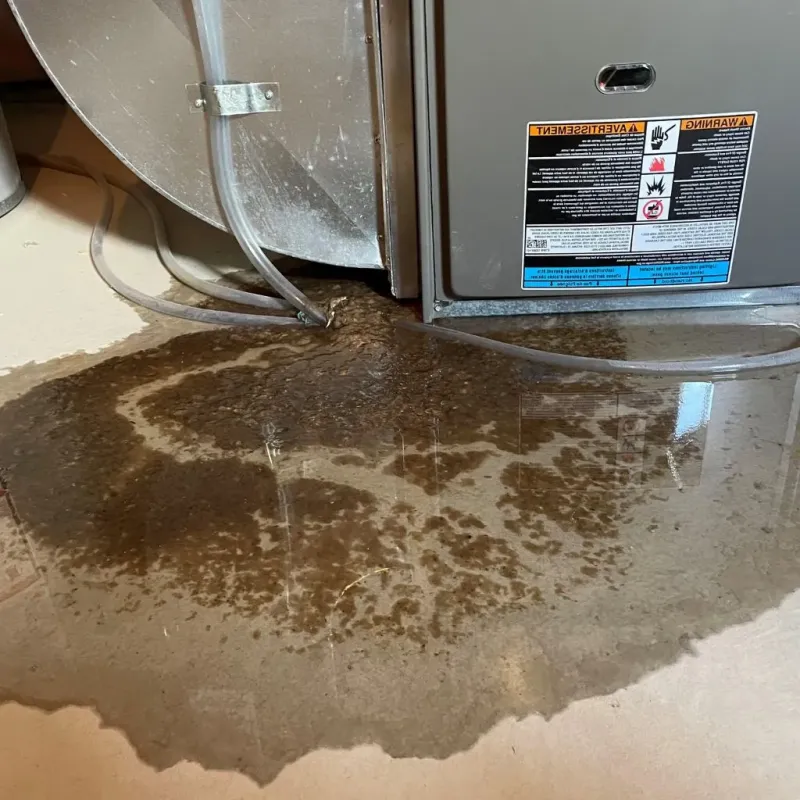 Pipe Burst and Leak Restoration in Woodside, NY